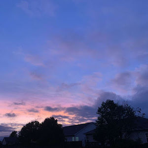 Meet your Posher, Kinsley